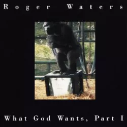 What God Wants (Part 1)