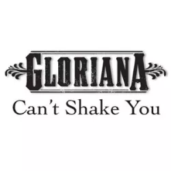 Can't Shake You