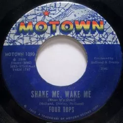 Shake Me Wake Me