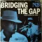 Bridging the Gap