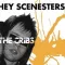 Hey Scenesters!
