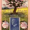 In the Shade of the Old Apple Tree