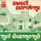 Sweet Caroline (Good Times Never Seemed so Good)