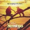 Stereotypes
