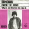 Catch the Wind