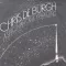 A Spaceman Came Travelling / The Ballroom of Romance