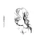 Clocks - Remixes