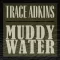 Muddy Water