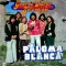 I Am a Cider Drinker (Paloma Blanca)
