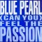 (Can You) Feel the Passion