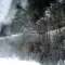 Winter Hill