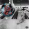 On the Game