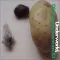 Dinosaur Adventure 3D