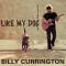 Like My Dog