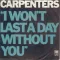 I Won't Last a Day Without You